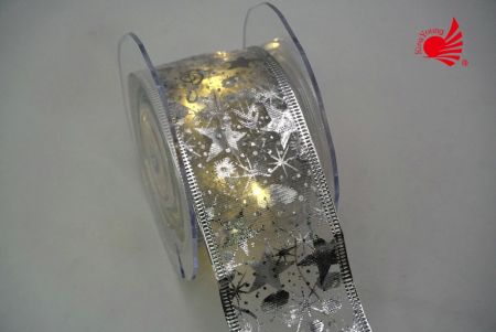 LED lighting Ribbon 2meter_silver